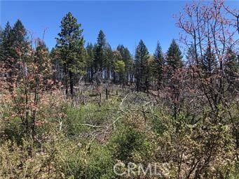 Farm Property for sale in Lake County, California