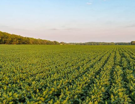 Recreational Property for sale in Greene County, Iowa