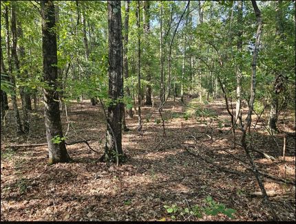 Ranch Property for sale in Pike County, Alabama