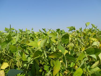 Farm Property for sale in Norman County, Minnesota