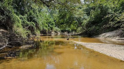 Farm Property for sale in Jones County, Mississippi