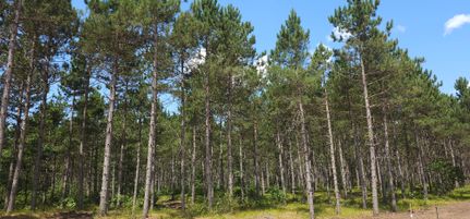 Ranch Property for sale in Adams County, Wisconsin