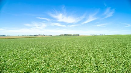 Farm Property for sale in Buena Vista County, Iowa