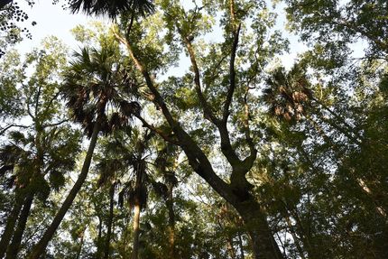 Ranch Property for sale in Nassau County, Florida