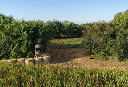 Timberland Property for sale in Clarke County, Iowa