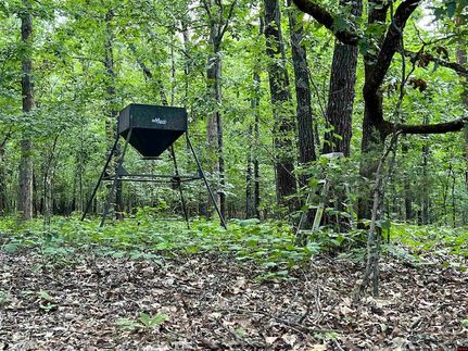Timberland Property for sale in Baxter County, Arkansas