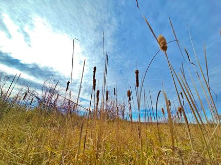 Farm Property for sale in Wood County, Wisconsin