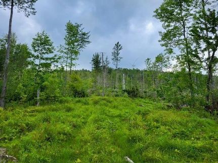 Ranch Property for sale in Aroostook County, Maine