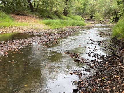 Farm Property for sale in Monroe County, Missouri