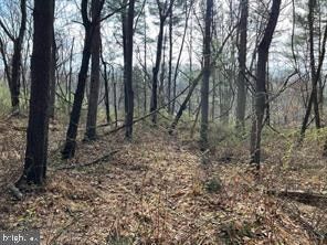 Farm Property for sale in Washington County, Maryland