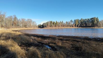 Timberland Property for sale in Becker County, Minnesota