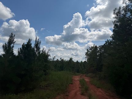 Ranch Property for sale in Monroe County, Alabama