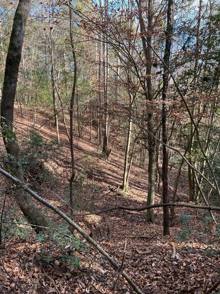 Timberland Property for sale in Autauga County, Alabama