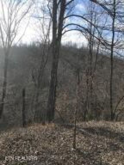 Farm Property for sale in Morgan County, Tennessee
