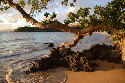 Farm Property for sale in Hawaii County, Hawaii