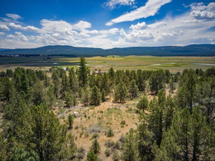 Undeveloped Land for sale in Klamath County, Oregon