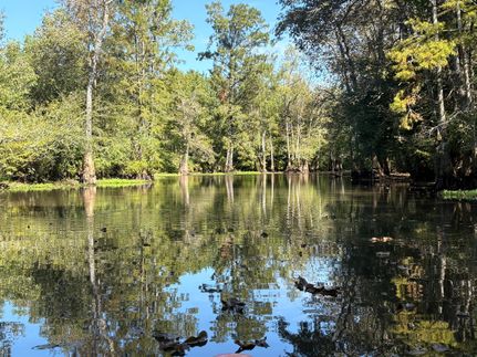 Property for sale in Itawamba County, Mississippi