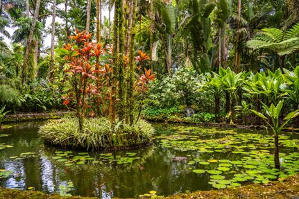 Farm Property for sale in Hawaii County, Hawaii