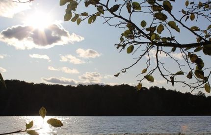 Horse Property for sale in Forest County, Wisconsin