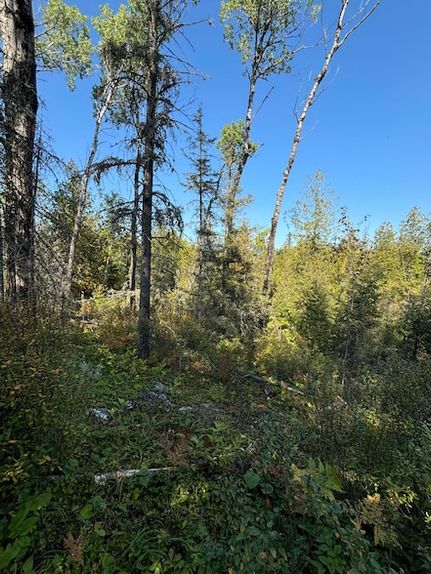Ranch Property for sale in Mackinac County, Michigan