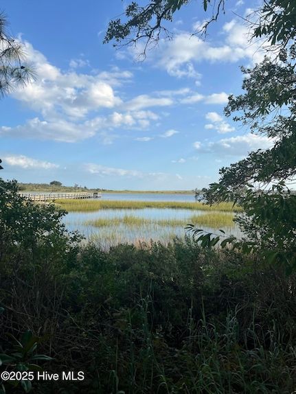 Timberland Property for sale in Brunswick County, North Carolina