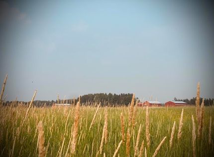 Ranch Property for sale in Chippewa County, Michigan