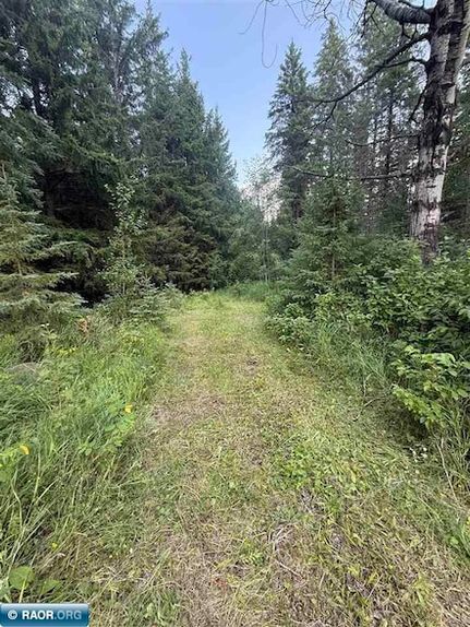 Undeveloped Land for sale in Saint Louis County, Minnesota