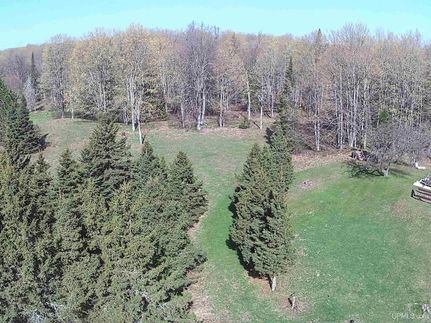 Ranch Property for sale in Delta County, Michigan