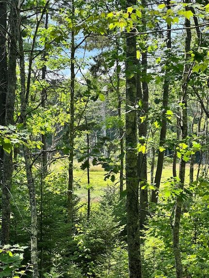 Farm Property for sale in Cumberland County, Maine