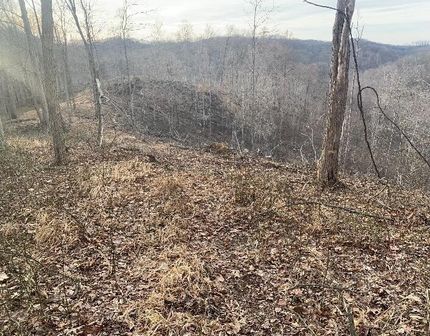 Recreational Property for sale in Pike County, Ohio