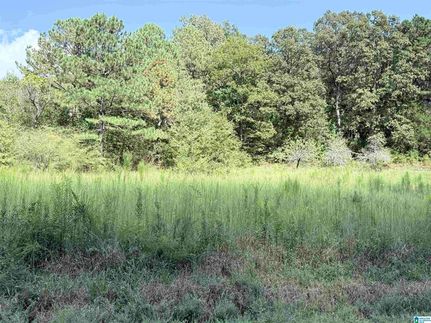 Farm Property for sale in Calhoun County, Alabama