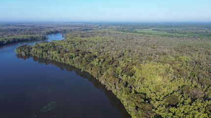 Farm Property for sale in Bertie County, North Carolina