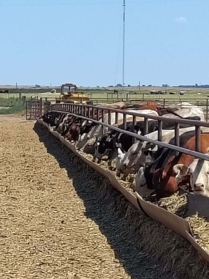 Farm Property for sale in Harper County, Oklahoma