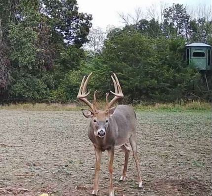 Farm Property for sale in Lee County, Iowa