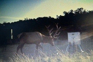 Farm Property for sale in Edwards County, Texas