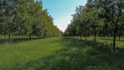 Recreational Property for sale in Sumter County, Georgia
