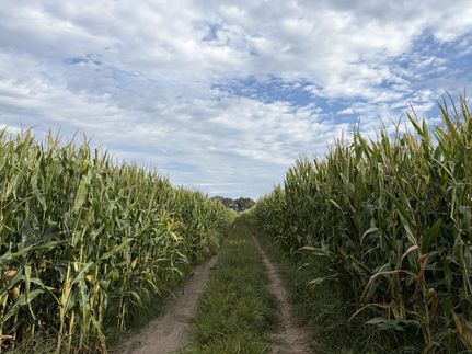 Farm Property for sale in Holt County, Nebraska