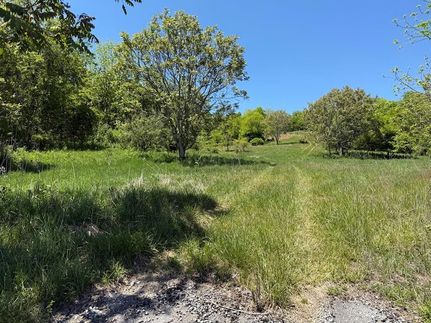Timberland Property for sale in Smyth County, Virginia