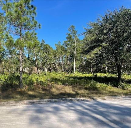 Recreational Property for sale in Putnam County, Florida