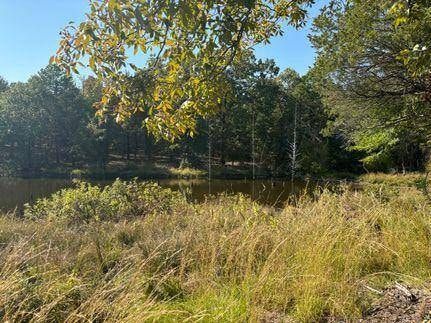 Timberland Property for sale in Pushmataha County, Oklahoma