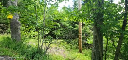 Ranch Property for sale in Greene County, New York