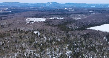 Farm Property for sale in Caledonia County, Vermont