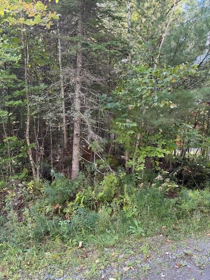 Lakefront Property for sale in Piscataquis County, Maine