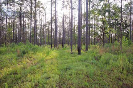 Farm Property for sale in Calhoun County, Mississippi