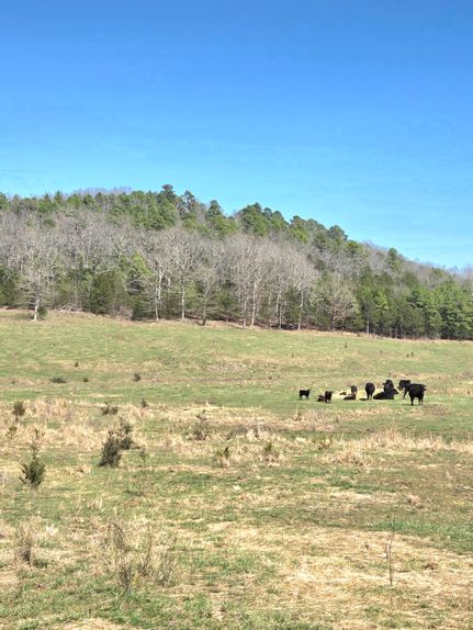 Farm Property for sale in Izard County, Arkansas