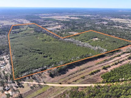 Farm Property for sale in San Jacinto County, Texas