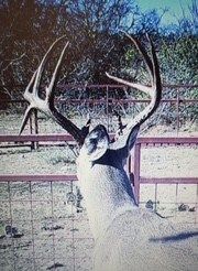 Farm Property for sale in Edwards County, Texas