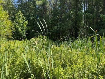 Farm Property for sale in Cumberland County, Maine