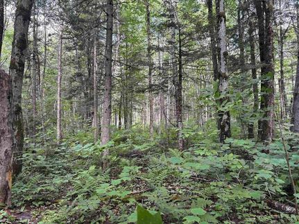 Ranch Property for sale in Essex County, Vermont