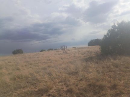 Farm Property for sale in Torrance County, New Mexico